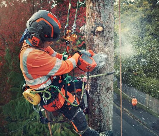 Chainsaw T540ixp No Battery/ch